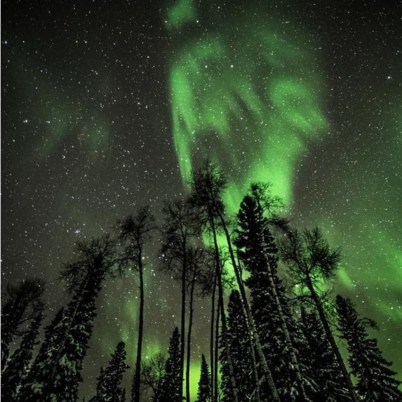 Meet your Posher, Shelley - Picture 1 of 1